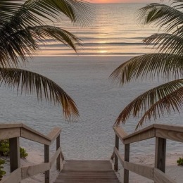 a beach front with palm trees and a sunset