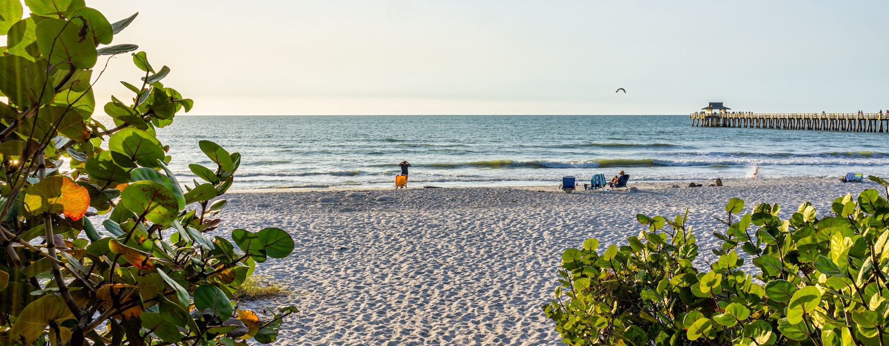 a beach with people on it