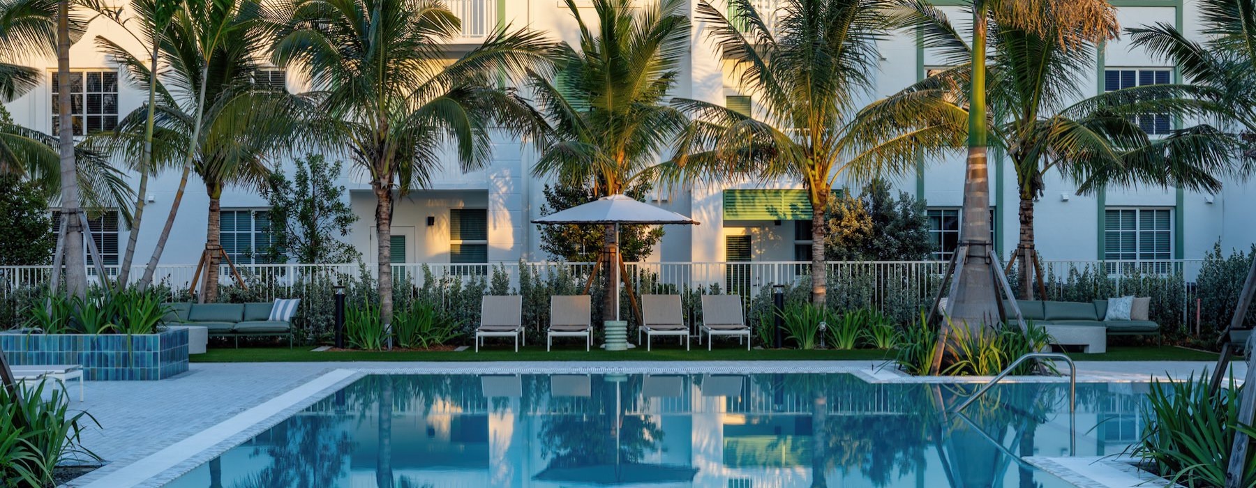 a pool with palm trees
