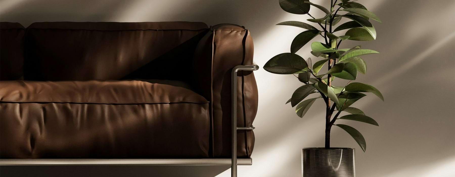 leather couch next to potted plant
